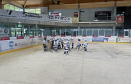 IMG_6110.jpeg