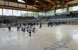 IMG_6111.jpeg